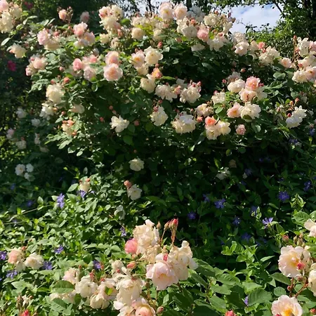 Al Vecchio Fienile Сasa de vacaciones